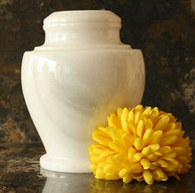 Load image into Gallery viewer, Carpel Antique White Marble Adult Funeral Cremation Urn, 220 Cubic Inches
