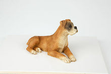 Load image into Gallery viewer, Boxer Ears Down Pet Funeral Cremation Urn Avail in 3 Different Colors &amp; 4 Sizes

