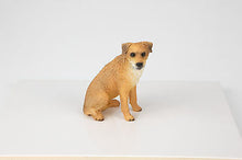 Load image into Gallery viewer, Border Terrier Pet Funeral Cremation Urn Avail in 3 Different Colors &amp; 4 Sizes
