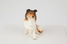 Load image into Gallery viewer, Paw Up Collie Pet Funeral Cremation Urn Avail in 3 Different Colors &amp; 4 Sizes
