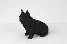 Load image into Gallery viewer, Brussels Griffon Pet Funeral Cremation Urn Available in 3 Diff Colors &amp; 4 Sizes
