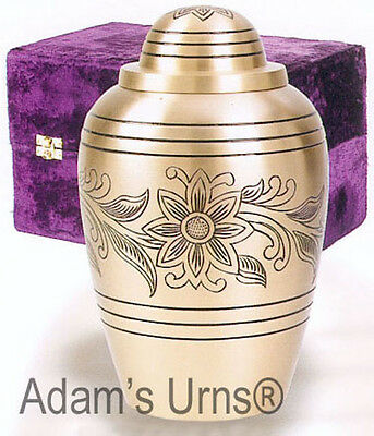 Adult Size Gold Color, Solid Brass Funeral Cremation Urn and Box, 228 Cubic Inch