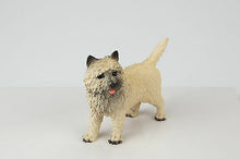Load image into Gallery viewer, Cairn Terrier Pet Funeral Cremation Urn Avail in 3 Different Colors &amp; 4 Sizes
