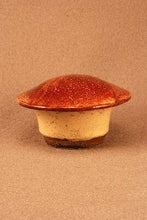 Load image into Gallery viewer, RAKU Unique Ceramic Companion Small/ Keepsake Funeral Cremation Urn #I0013
