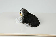Load image into Gallery viewer, Bearded Collie Pet Funeral Cremation Urn Avail in 3 Different Colors &amp; 4 Sizes
