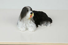 Load image into Gallery viewer, Bearded Collie Pet Funeral Cremation Urn Avail in 3 Different Colors &amp; 4 Sizes
