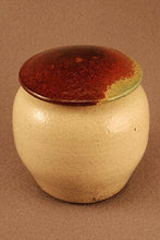 Load image into Gallery viewer, RAKU Unique Ceramic Pet Funeral Cremation Urn #P006
