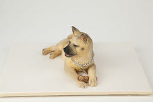 Load image into Gallery viewer, Akita Fawn Pet Funeral Cremation Urn Available in 3 Different Colors &amp; 4 Sizes
