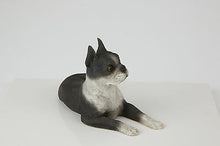Load image into Gallery viewer, Boston Terrier Pet Funeral Cremation Urn Avail in 3 Different Colors &amp; 4 Sizes
